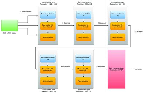 Convolutional Network Architecture 的图像结果