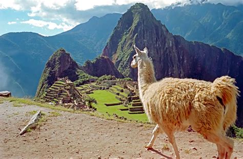 Which Countries Border Peru? | TouristSecrets