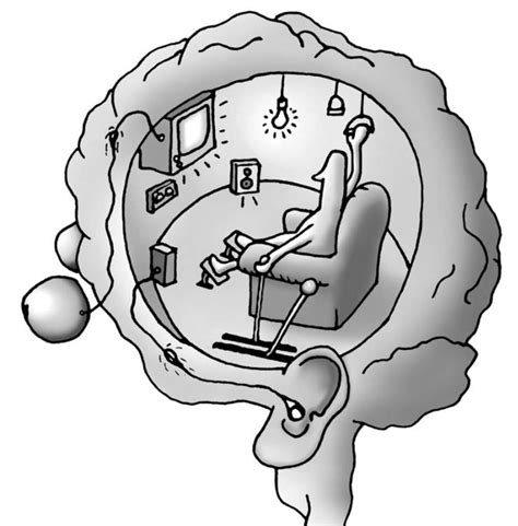 探索大脑——全景式认知人类思维模式 | 芒格学院