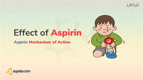Aspirin 100 Mg Mechanism Of Action at John Galindo blog