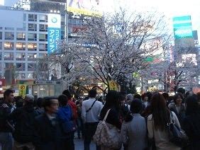 Image result for Numerical Coding System