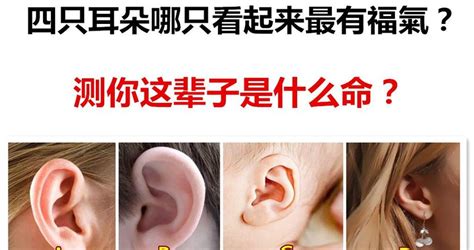 心理测试：你的耳朵是以下哪一种形状的？测你晚年是什么命，准_金钱