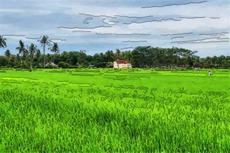 梦见绿油油的稻田 的征兆 - 布达拉宫 | 布达拉宫