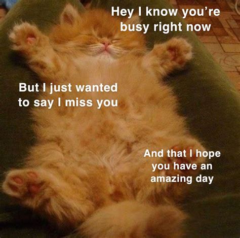 60 cutest i miss you memes of all time – Artofit