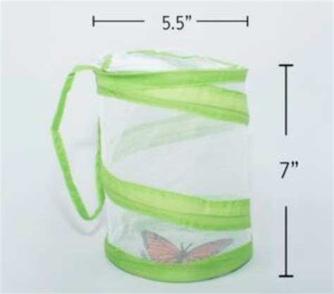 Butterfly Releases - Bear Mountain Butterfly Sanctuary