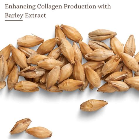 Barley in Skincare: The Ancient Secret to Modern Skin Health | Clinikally