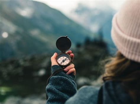 Image result for Career Path Exploration