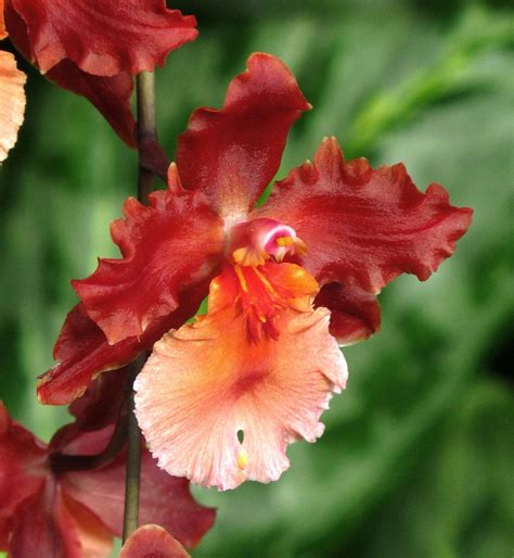 Gaithersburg Indoor Aquatic Center Closing for Maintena