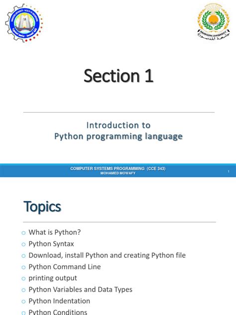 Image result for Introduction to Python Programming PDF Class 12 Book