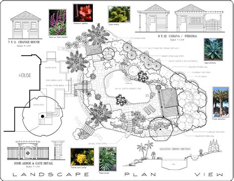 Basic DynaSCAPE Functions 的图像结果