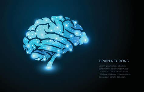 Image result for Brain Network Python