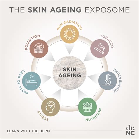 Ageing 的图像结果