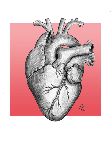 Detailed Drawings Of Hearts