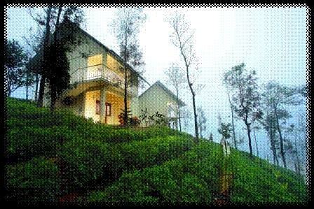 WINTER VALE GREEN STAY (Vagamon, Kerala) - Guesthouse Reviews, Photos ...