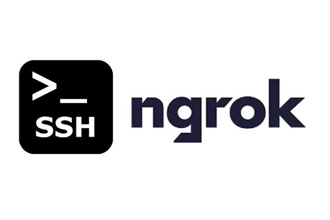 SSH into Remote Linux Machine Using ngrok | endtoend.ai