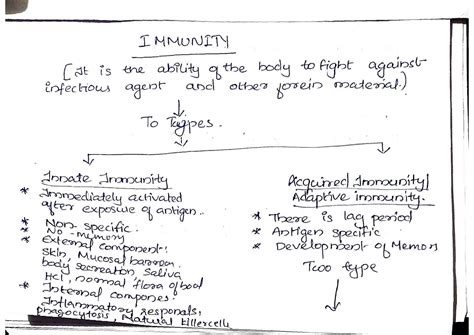 SOLUTION: Immunity classification of immunity some important examination points in lymphatic ...