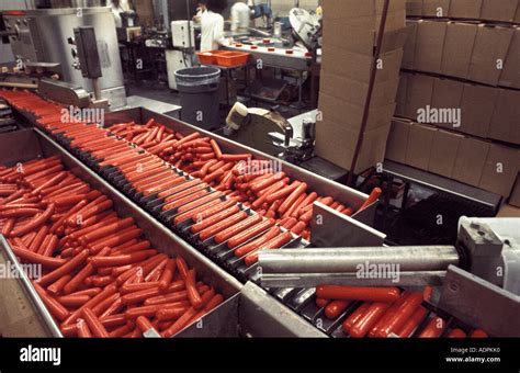 Image result for Hot Dog Making Process