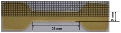 Characterization and Optimization of Real-Time Photoresponsive Gelatin ...