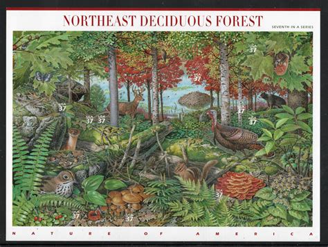 ALLYS STAMPS US Scott #3899 37c Northeast Forest - Pane [10] MNH, F/VF ...