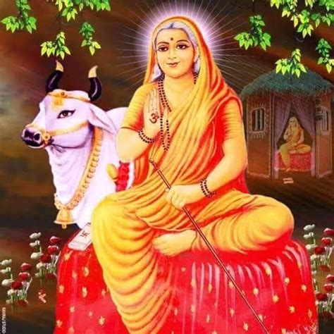 क्षत्रिय सिर्वी समाज कल धूमधाम से मनाएगा भादवी बीज महोत्सव, इस खबर में ...