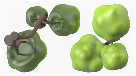 3D Cartoon Small Double Tree Simple Coloring | 3D Molier International