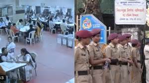 Bombay HC: Stopping Stray Dog Feeding In Non-Designated Areas Not ...