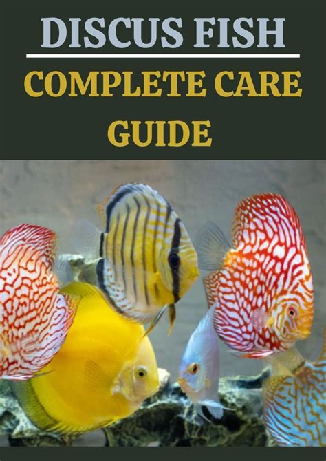 Rezultat imagine pentru Discus Care Guide