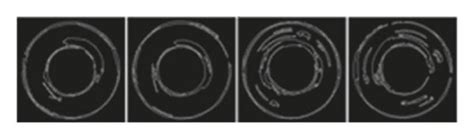 Image result for Image Segmentation Algorithm