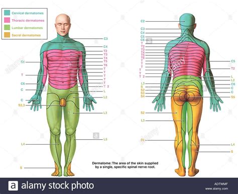 Image result for Picture of Compute Coding System