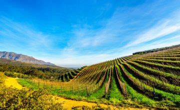 Ecstatic 4 Days Oudtshoorn to Cape_town Tour Package | cape_town ...