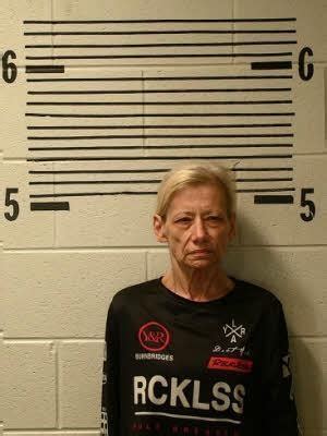 Inmate Roster | Elmore County AL Sheriff's Office | Sort Booking Time ...