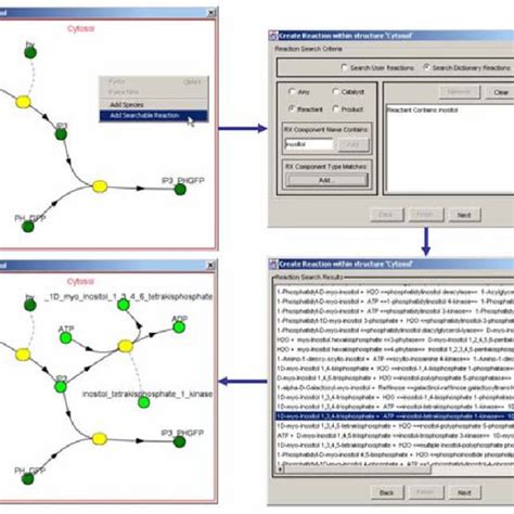 Cell Simulation 的图像结果