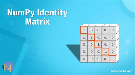 Image result for Identity Matrix Python-Numpy