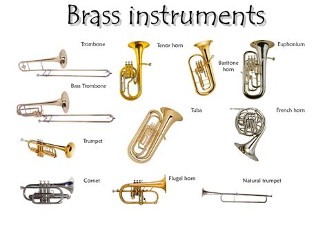 Image result for Lesser-Known Brass Instruments