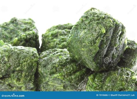 Frozen Chopped Spinach stock photo. Image of food, healthy - 7010686