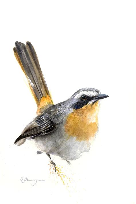 Cape Robin Chat commission Painting by Andre Olwage | Saatchi Art