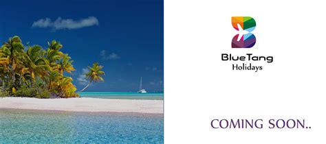 Blue Tang, Holidays || COMING SOON