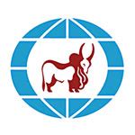 Union Bank FD (Fixed Deposit) Interest Rates 2026 in India