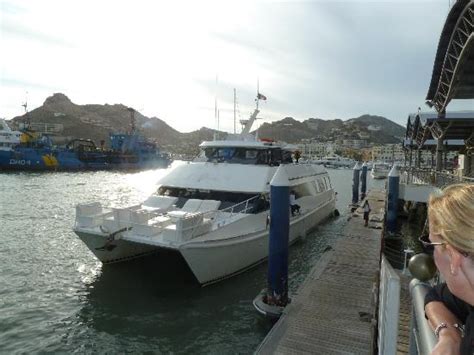 Fanta Sea Snorkeling & Sunset Tour (Baja California Sur) - 2022 What to ...