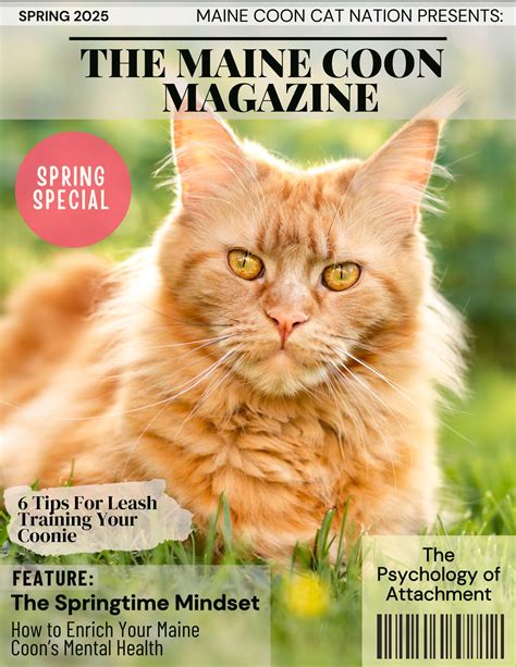 Maine Coon Size Chart: Kitten Growth, Weight & Milestones