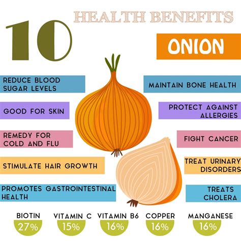 Health Benefits Of Onions at James Daulton blog - habitat of onion