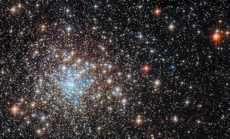 New Science Discovery 的图像结果