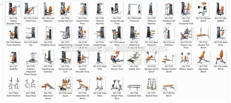 Gym Exercise Equipment Names With Pictures - ExerciseWalls