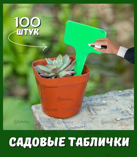 Набор садовых табличек для указания названий культур и даты посадки ...