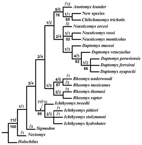 Diversity | An Open Access Journal from MDPI