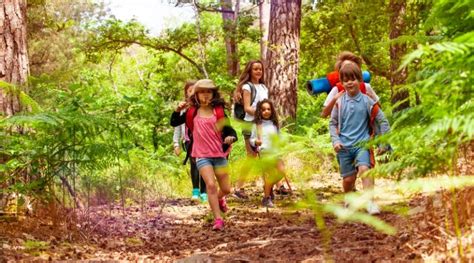 Image result for Zero Waste Kids