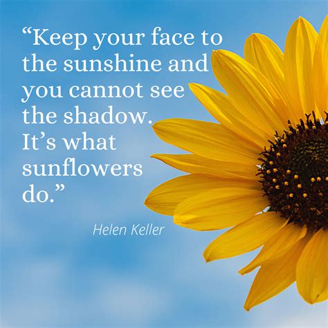 Sunflower Quotes To Inspire and Brighten Your Day in 2020 | Sunflower ...