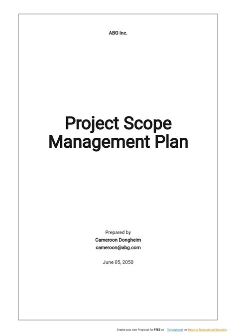 Image result for Project Scope Plan Template