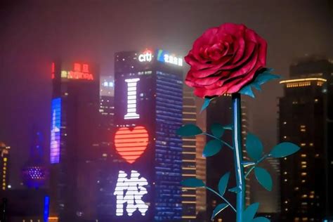 刷屏小红书的“上海玫瑰”，给门店体验营销带来这三点启示_腾讯新闻