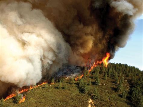 Forest fire | Definition, Description, Ecology, & Facts | Britannica